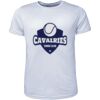 Mens Brushed Tee Shirt Thumbnail
