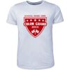 Mens Brushed Tee Shirt Thumbnail