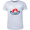 Mens Brushed Tee Shirt Thumbnail