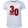 Mens Brushed Tee Shirt Thumbnail